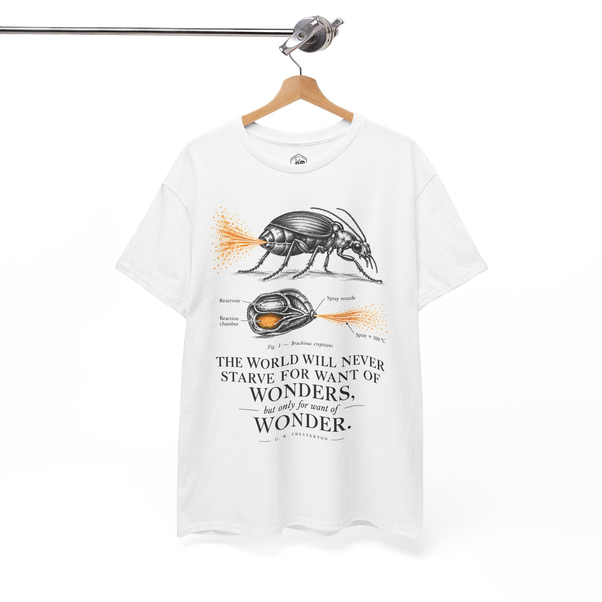 Bombardier Beetle Engraving T-shirt – Donkey Talk graphic tee