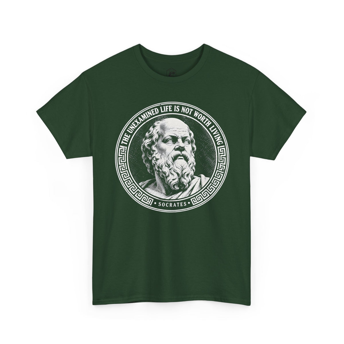 The Unexamined Life Is Not Worth Living T-shirt – Donkey Talk graphic tee