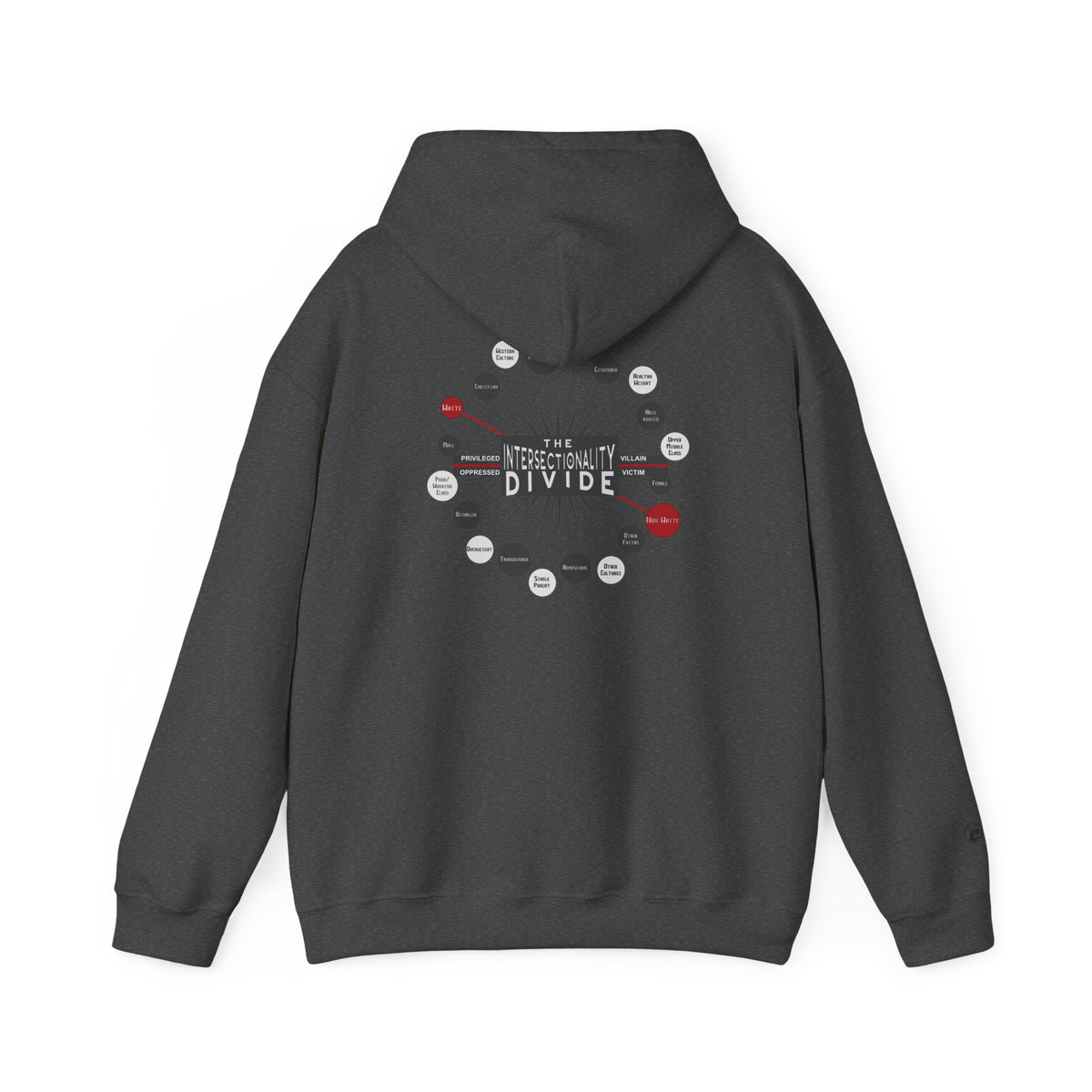 Intersectionality Divide hooded sweatshirt – Donkey Talk