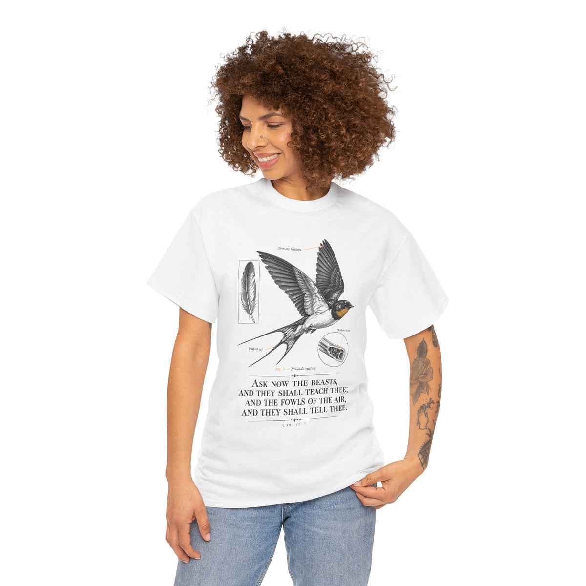 Ask the Beasts Swallow Engraving T-shirt – Donkey Talk graphic tee