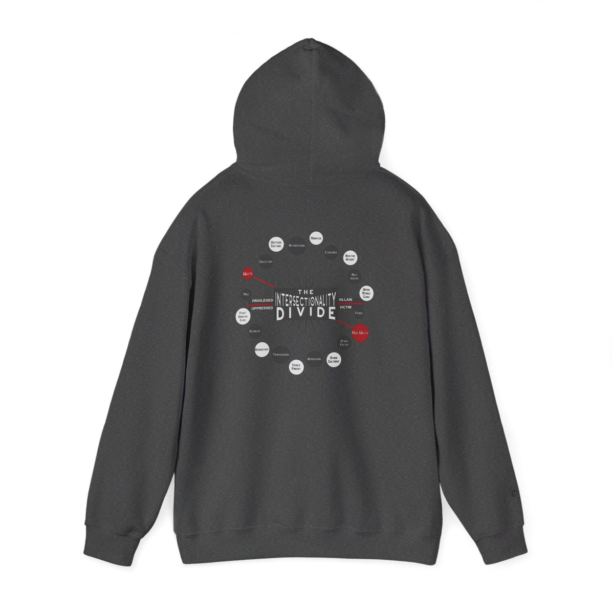 Intersectionality Divide hooded sweatshirt – Donkey Talk