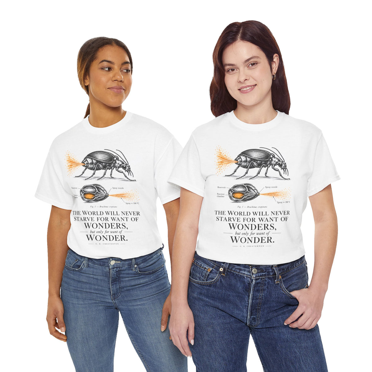 Bombardier Beetle Engraving T-shirt – Donkey Talk graphic tee