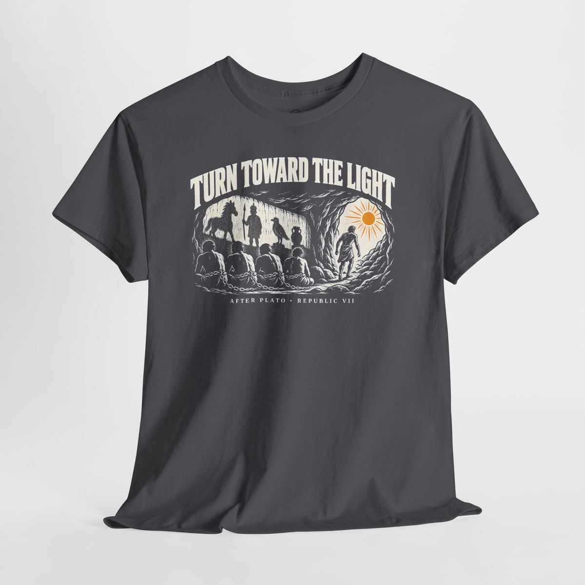 Turn Toward the Light Plato T-shirt – Donkey Talk graphic tee