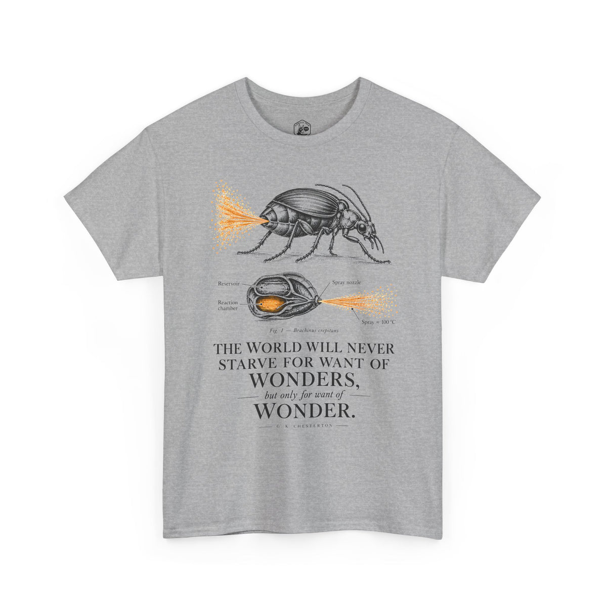 Bombardier Beetle Engraving T-shirt – Donkey Talk graphic tee