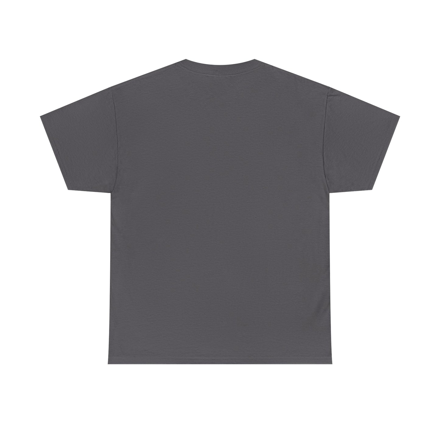 The Lion & The Lamb Casual T-Shirt | Christian Graphic Tee