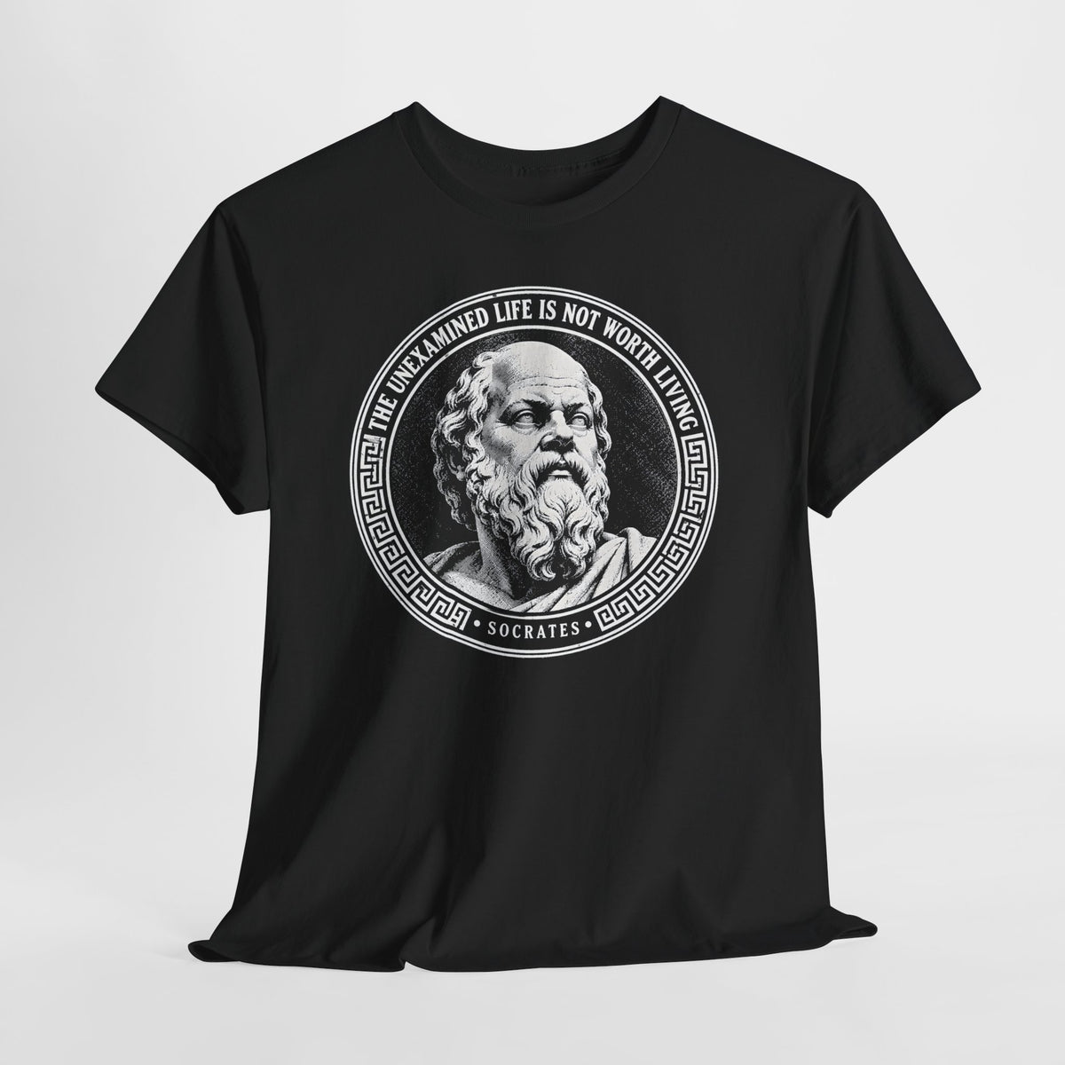 The Unexamined Life Is Not Worth Living T-shirt – Donkey Talk graphic tee