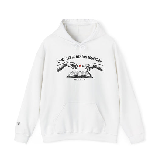 Come, Let Us Reason Together hoodie - Donkey Talk faith and reason unisex hoodie