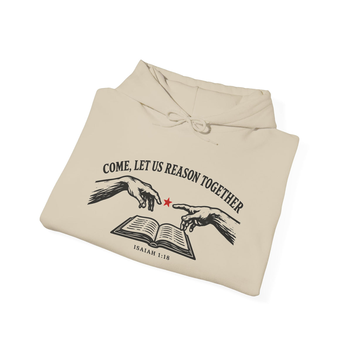 Come, Let Us Reason Together hoodie - Donkey Talk faith and reason unisex hoodie