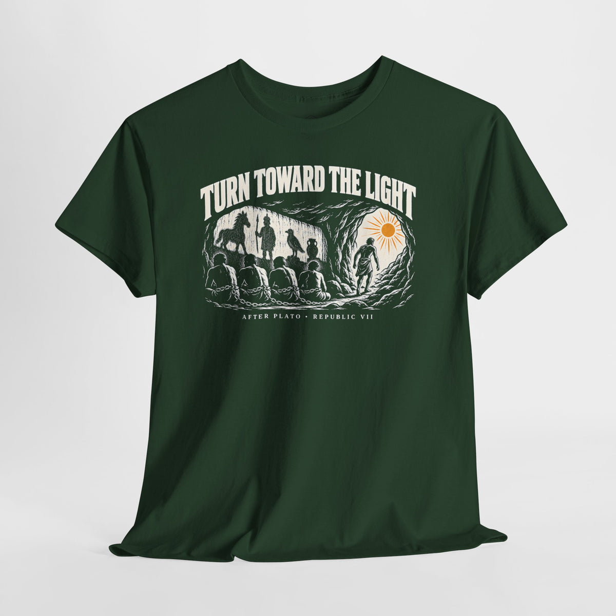 Turn Toward the Light Plato T-shirt – Donkey Talk graphic tee
