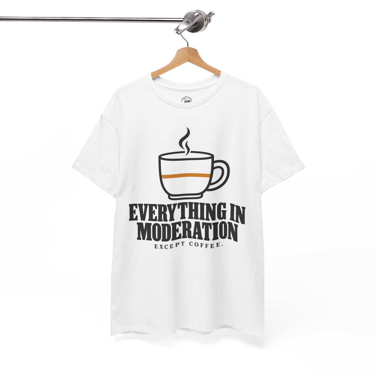 Everything in Moderation Except Coffee T-shirt – Donkey Talk graphic tee