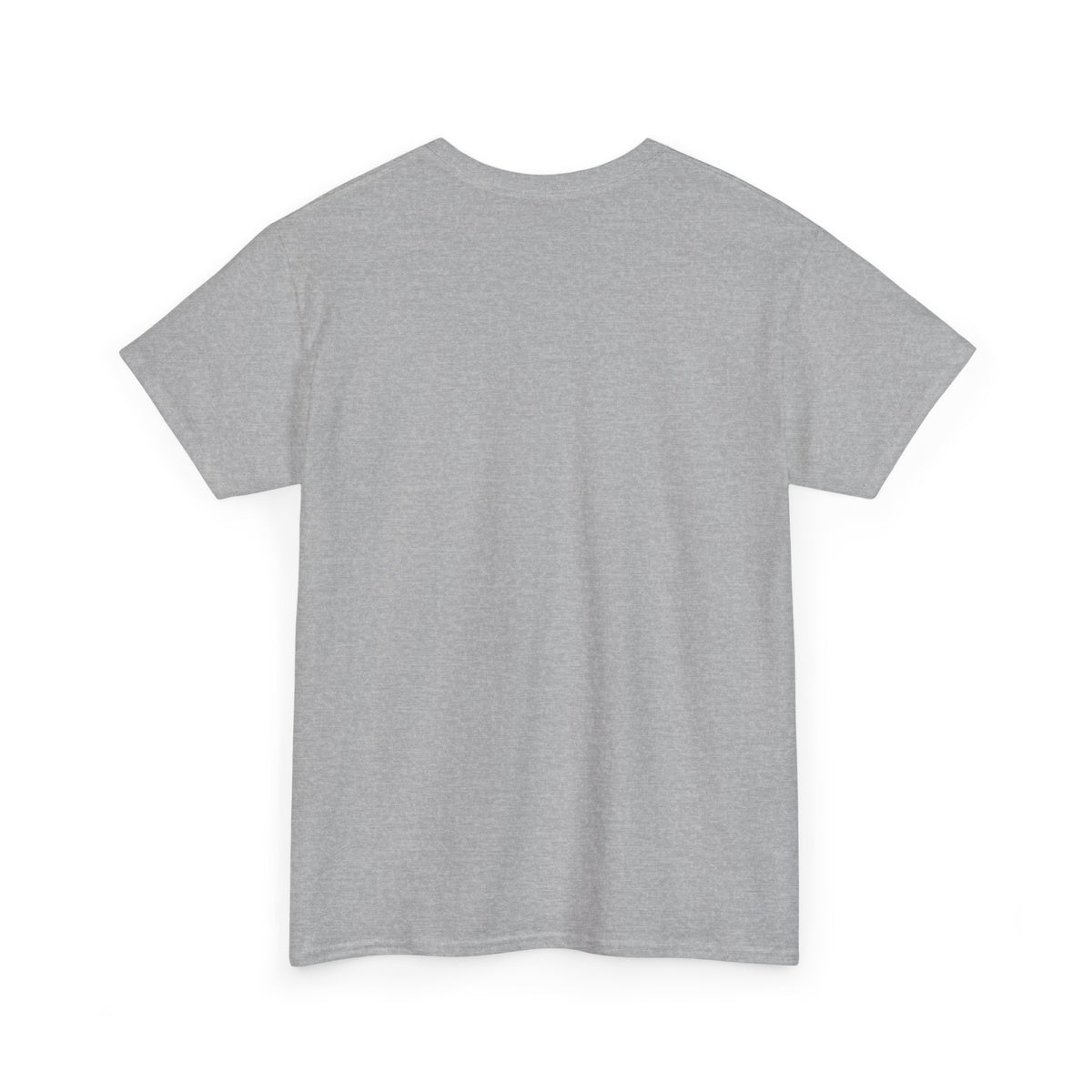 The Lion & The Lamb Casual T-Shirt | Christian Graphic Tee