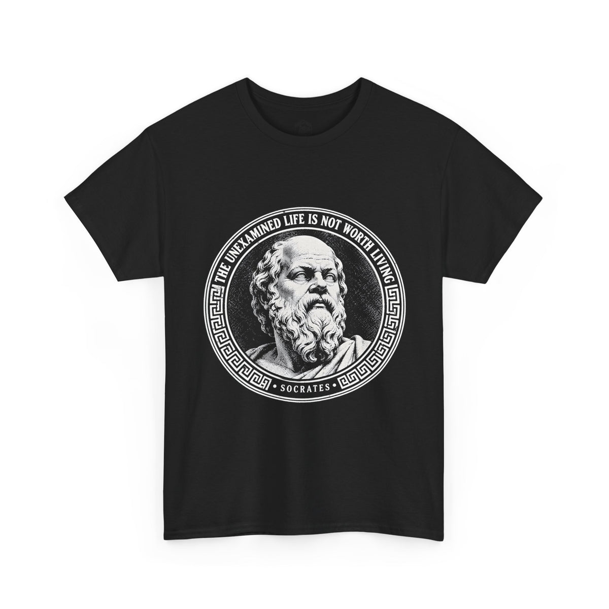 The Unexamined Life Is Not Worth Living T-Shirt | Socrates Philosophy Tee