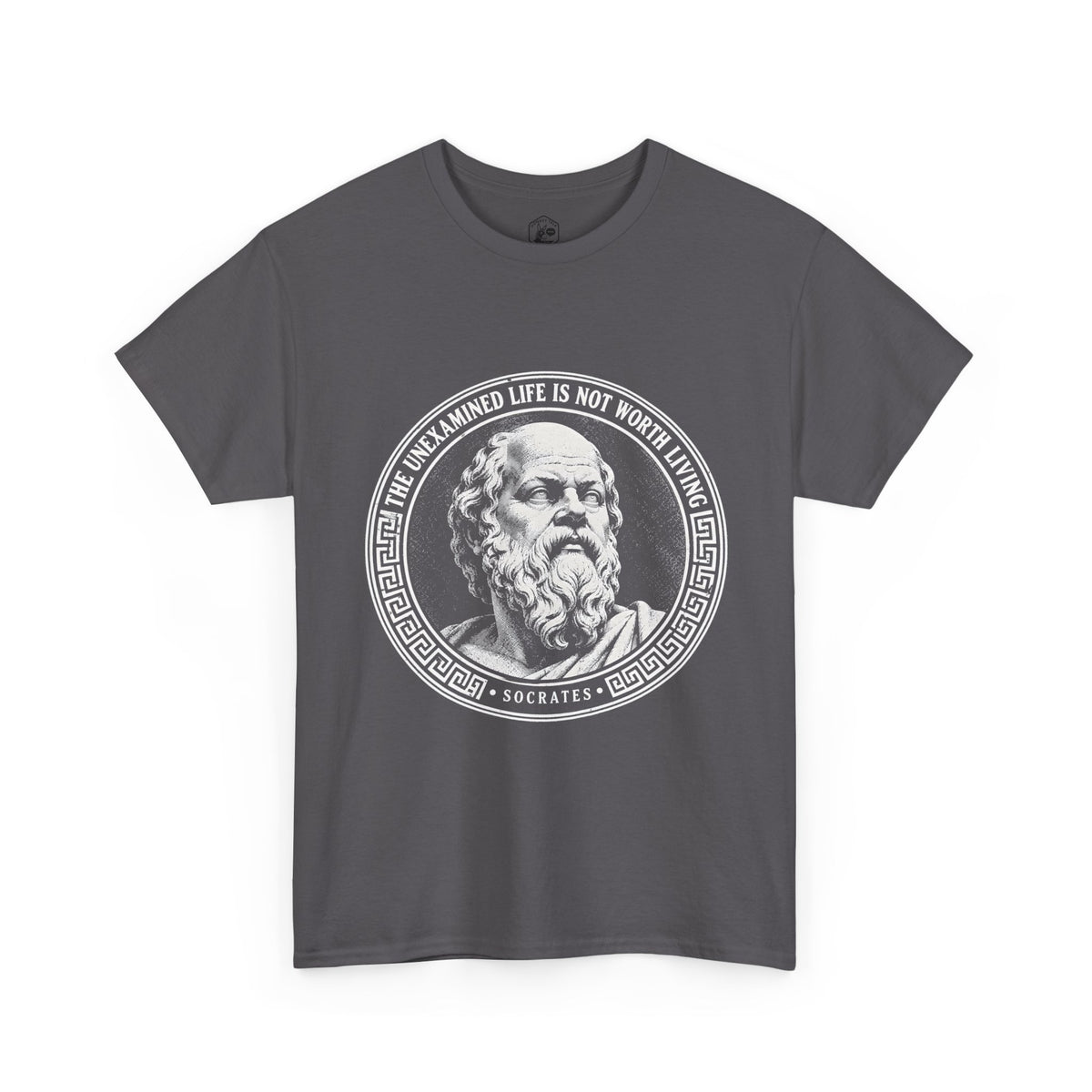 The Unexamined Life Is Not Worth Living T-Shirt | Socrates Philosophy Tee