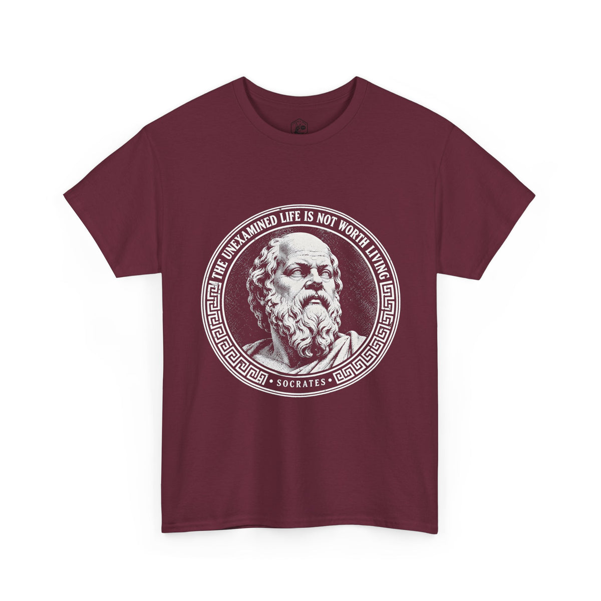 The Unexamined Life Is Not Worth Living T-Shirt | Socrates Philosophy Tee