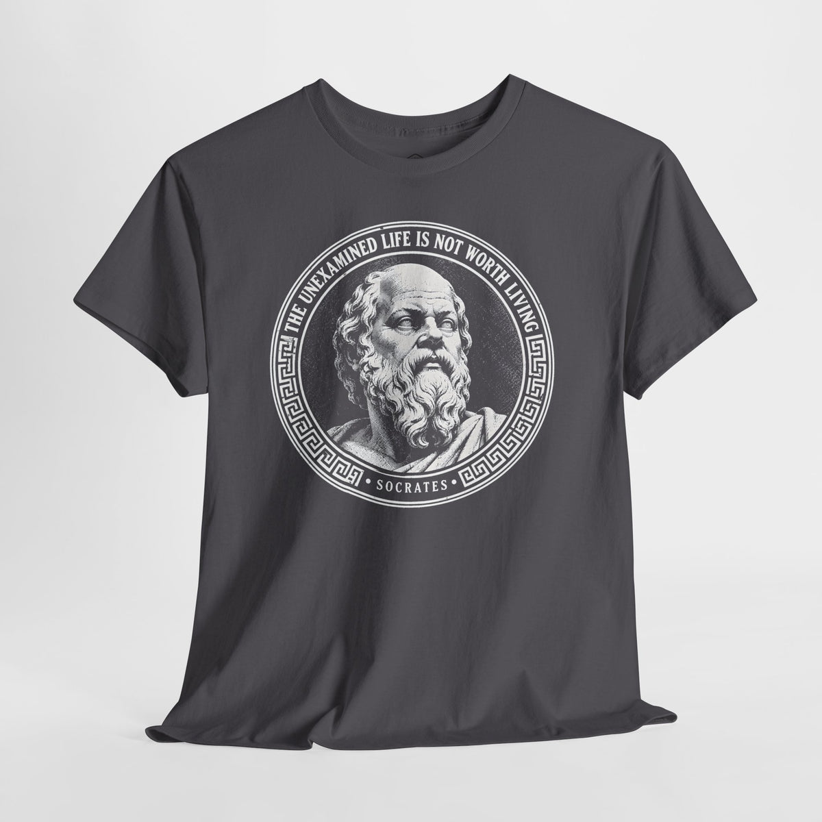 The Unexamined Life Is Not Worth Living T-shirt – Donkey Talk graphic tee