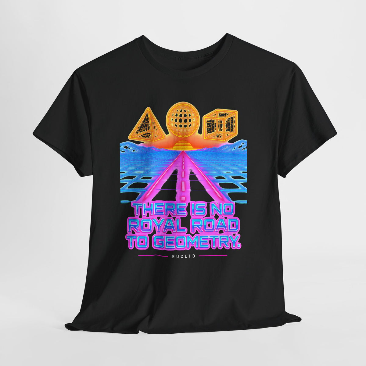 No Royal Road to Geometry Wireframe T-shirt – Donkey Talk graphic tee