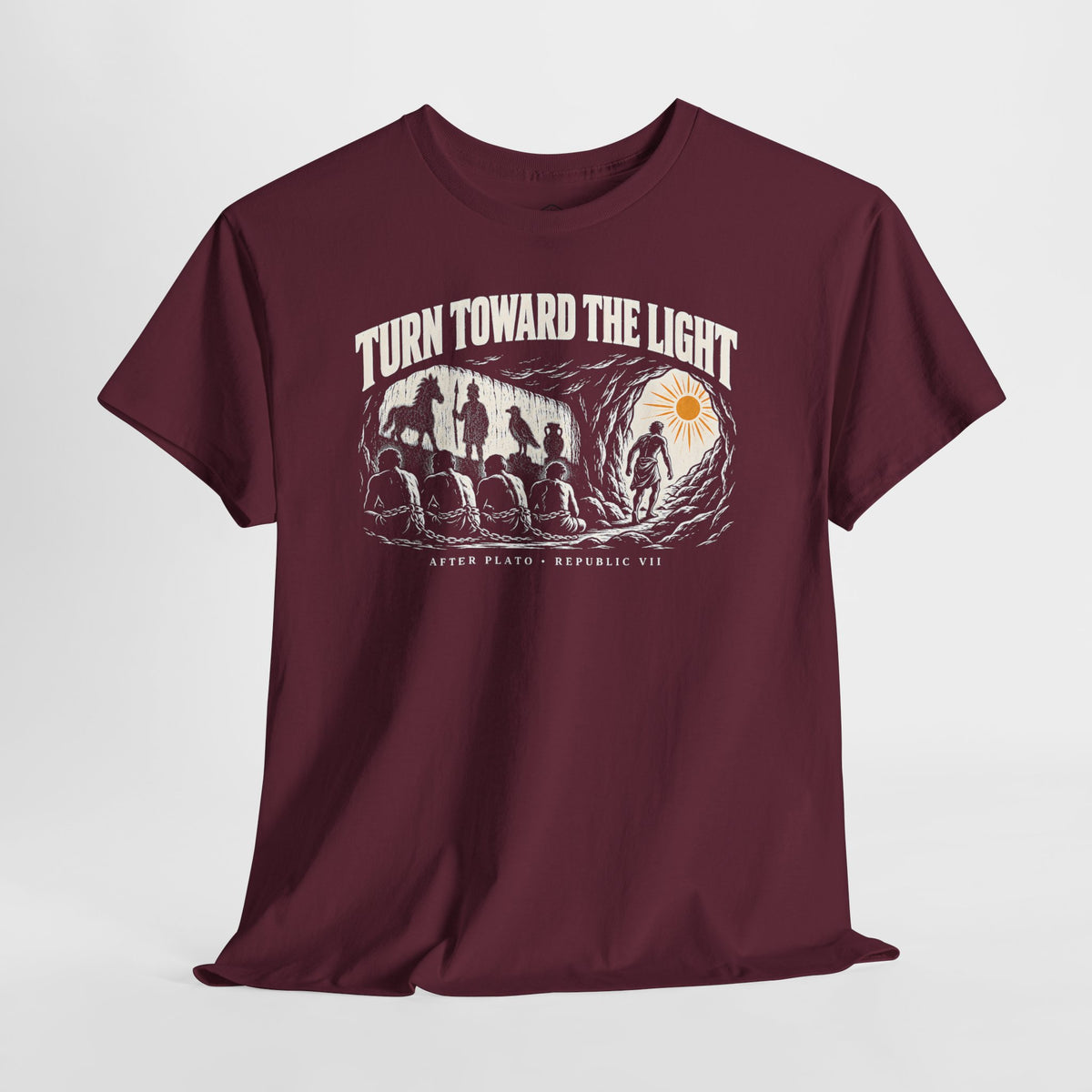 Turn Toward the Light Plato T-shirt – Donkey Talk graphic tee