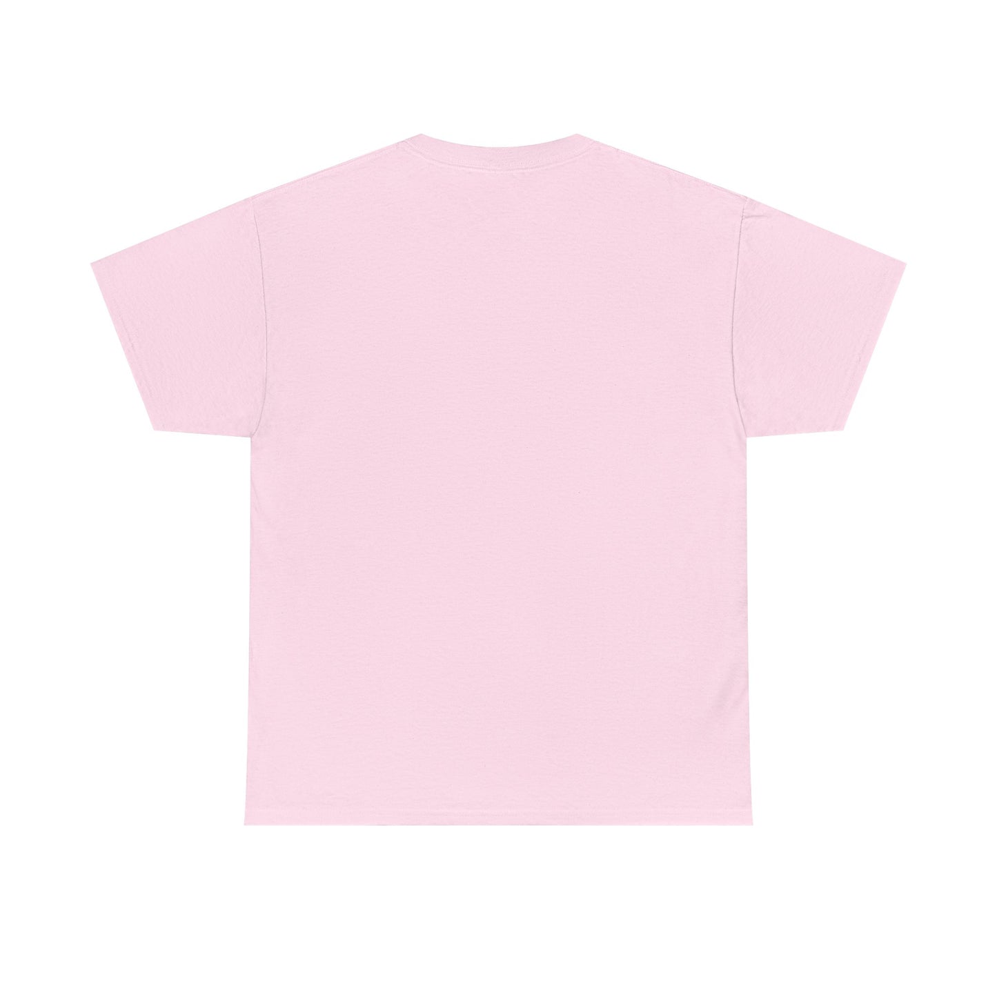 The Lion & The Lamb Casual T-Shirt | Christian Graphic Tee