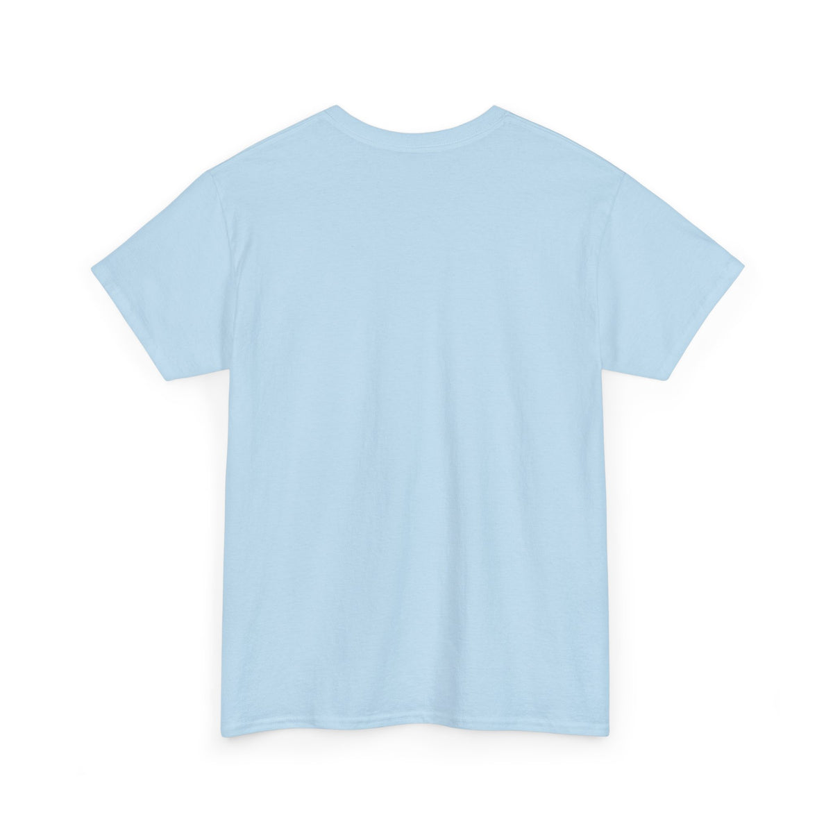The Lion & The Lamb Casual T-Shirt | Christian Graphic Tee