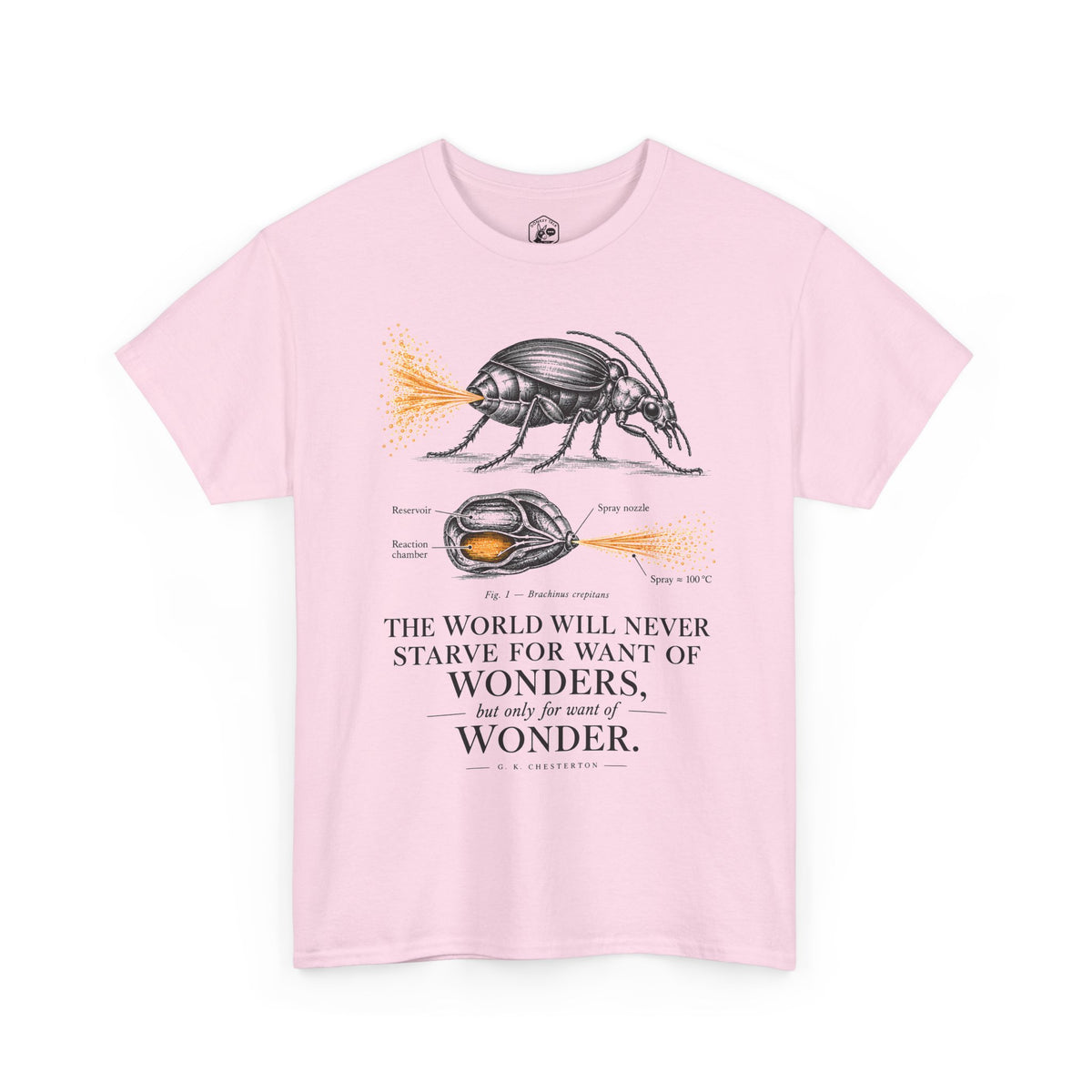 Bombardier Beetle Engraving T-shirt – Donkey Talk graphic tee