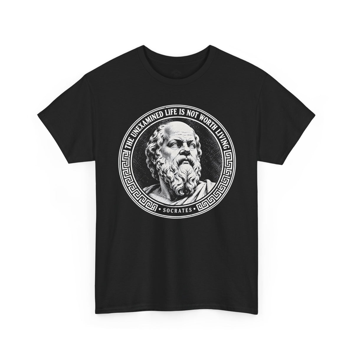 The Unexamined Life Is Not Worth Living T-shirt – Donkey Talk graphic tee