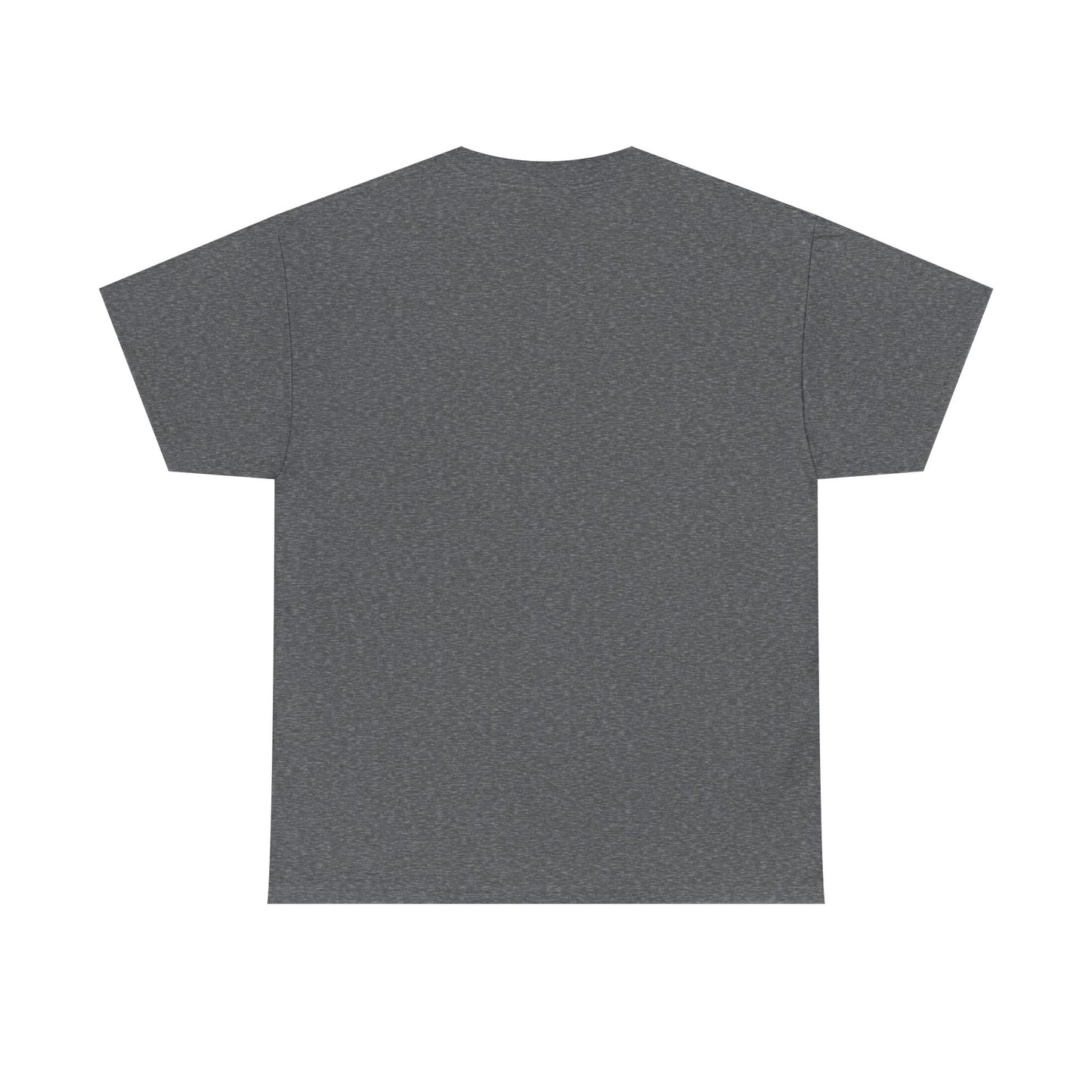 The Intersectionality Divide Graphic T-Shirt | Unisex Statement Tee