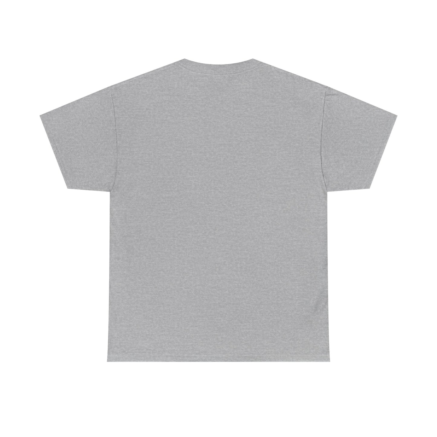 The Lion & The Lamb Casual T-Shirt | Christian Graphic Tee