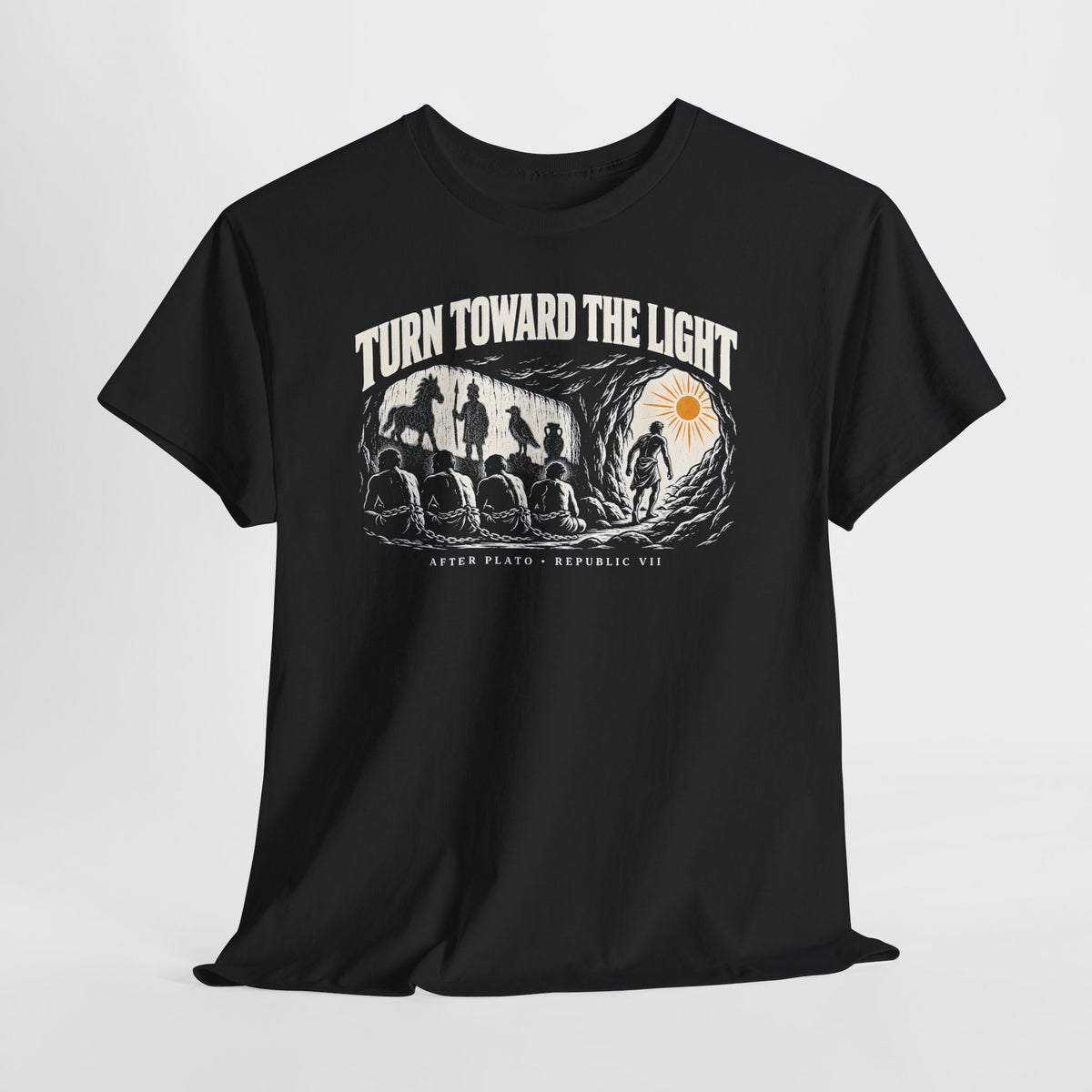 Turn Toward the Light Plato T-shirt – Donkey Talk graphic tee