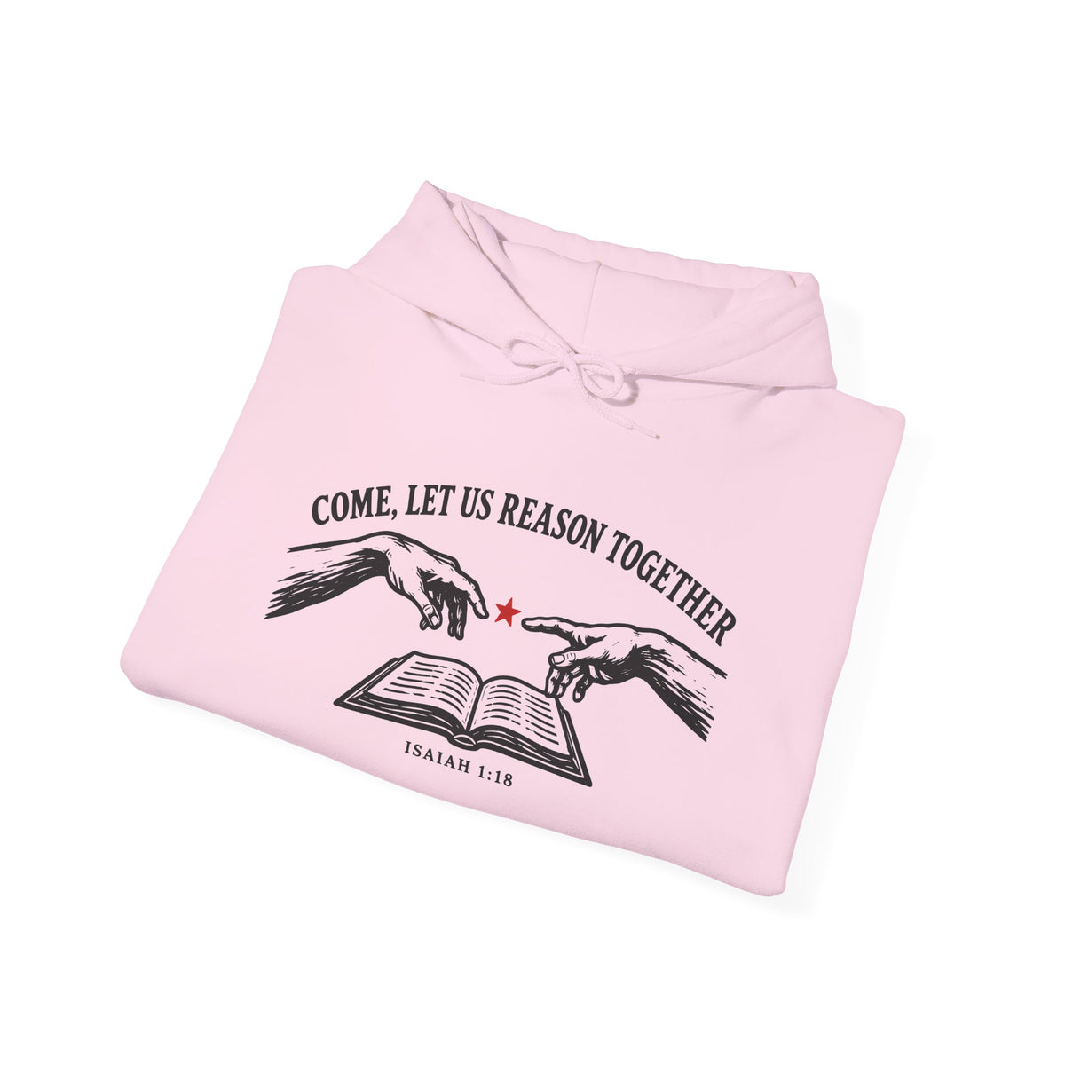 Come, Let Us Reason Together hoodie - Donkey Talk faith and reason unisex hoodie