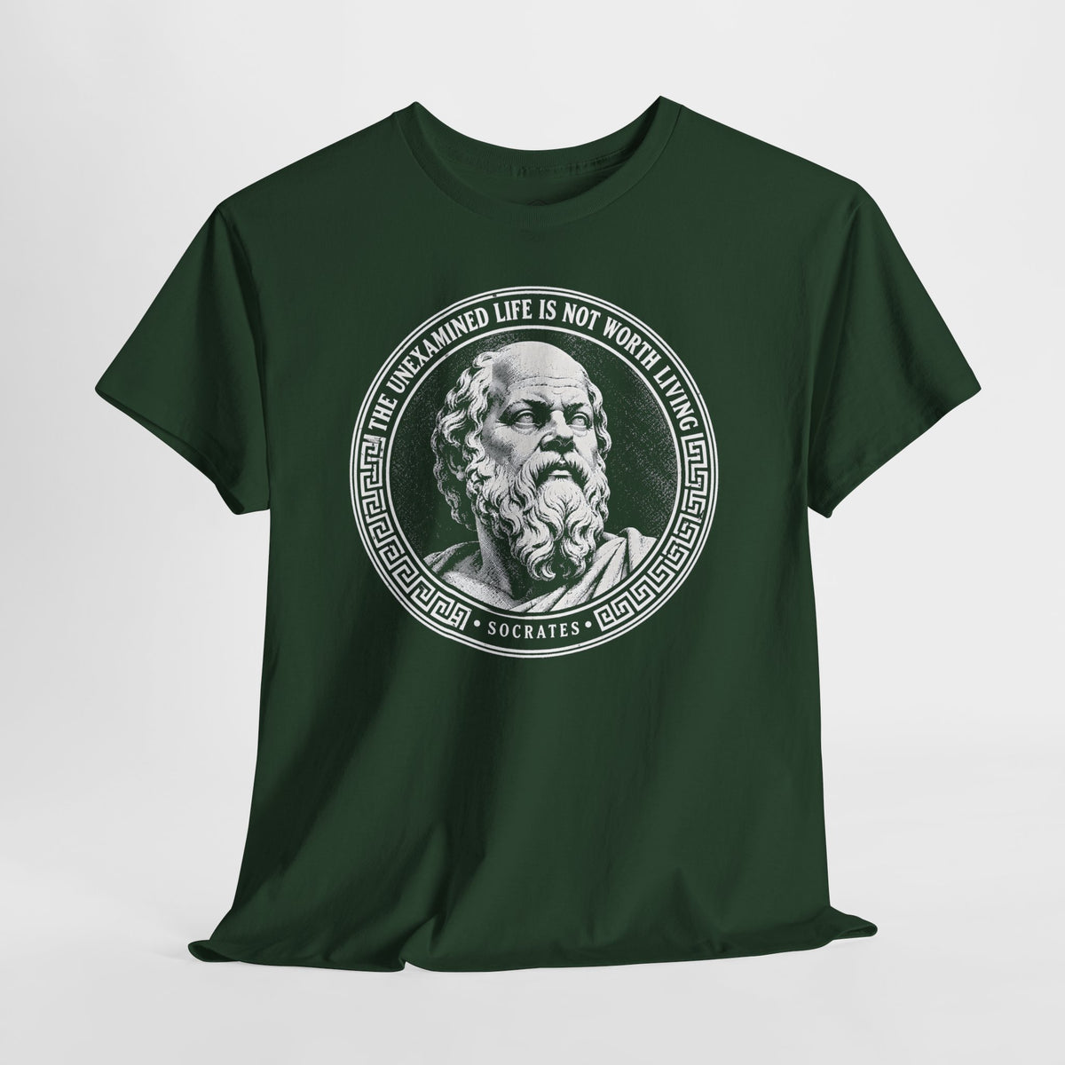 The Unexamined Life Is Not Worth Living T-shirt – Donkey Talk graphic tee