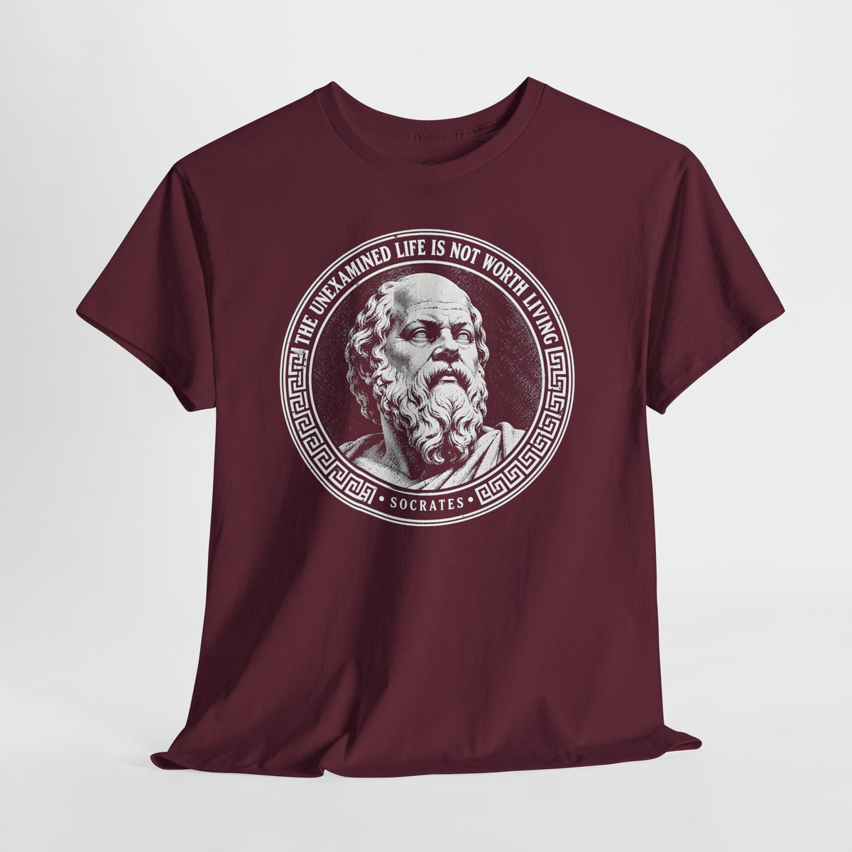 The Unexamined Life Is Not Worth Living T-shirt – Donkey Talk graphic tee