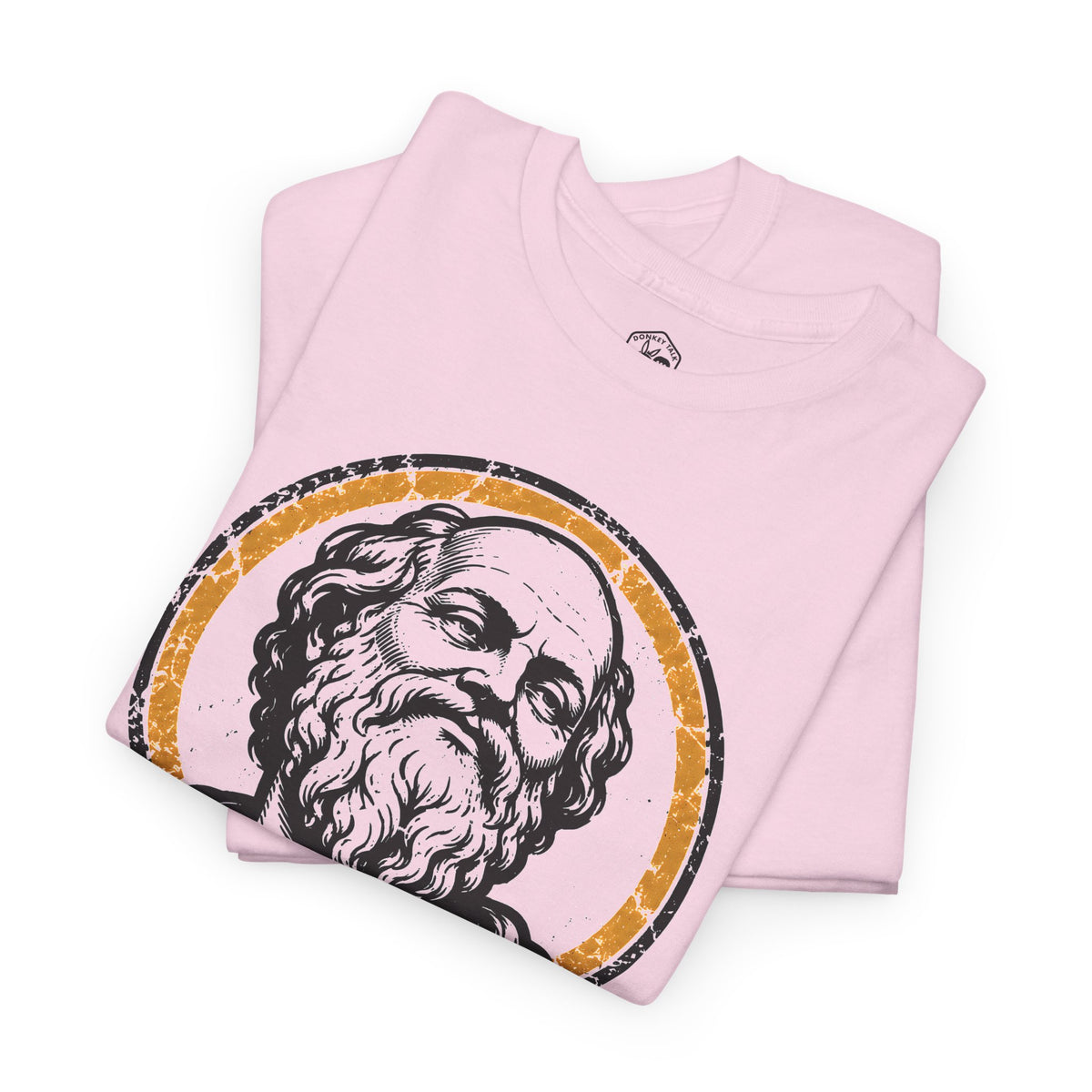 I Know That I Know Nothing Socrates T-shirt – Donkey Talk graphic tee