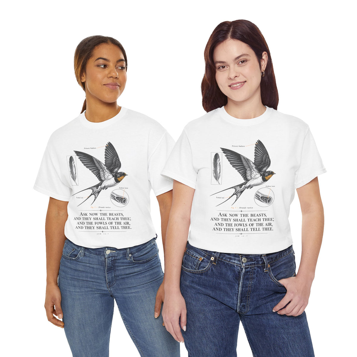Ask the Beasts Swallow Engraving T-shirt – Donkey Talk graphic tee