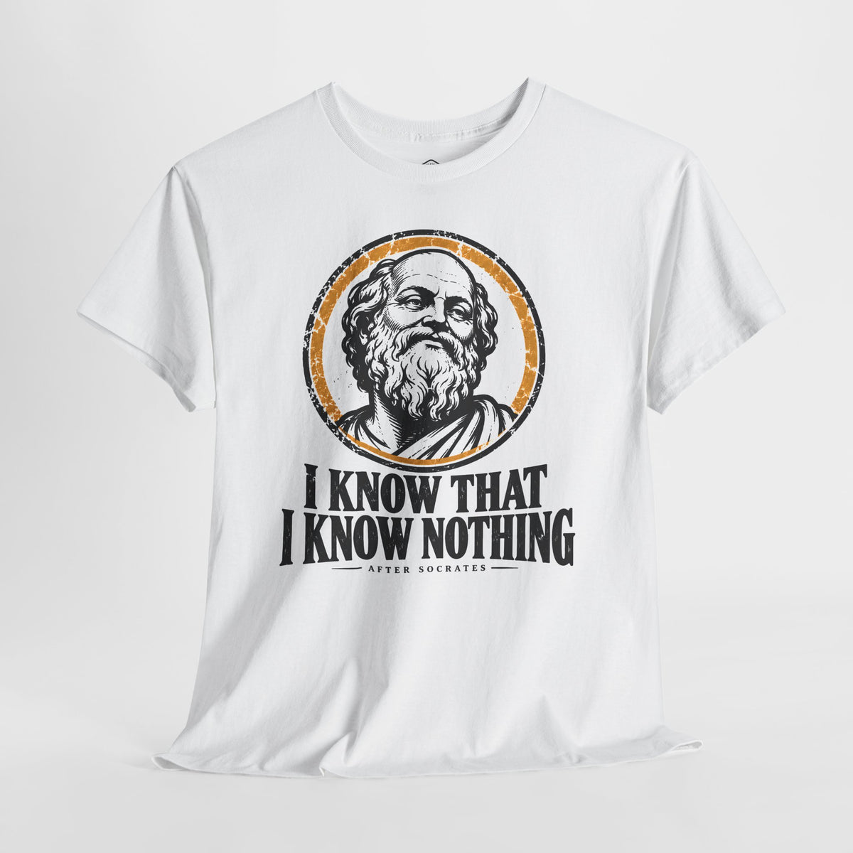 I Know That I Know Nothing Socrates T-shirt – Donkey Talk graphic tee