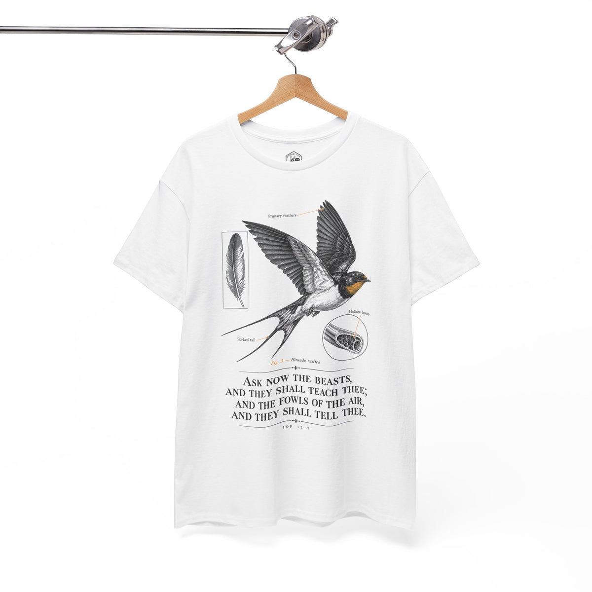 Ask the Beasts Swallow Engraving T-shirt – Donkey Talk graphic tee