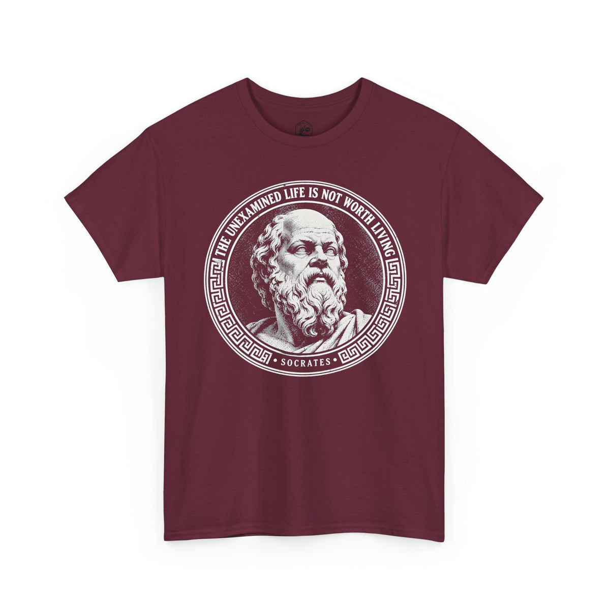The Unexamined Life Is Not Worth Living T-shirt – Donkey Talk graphic tee