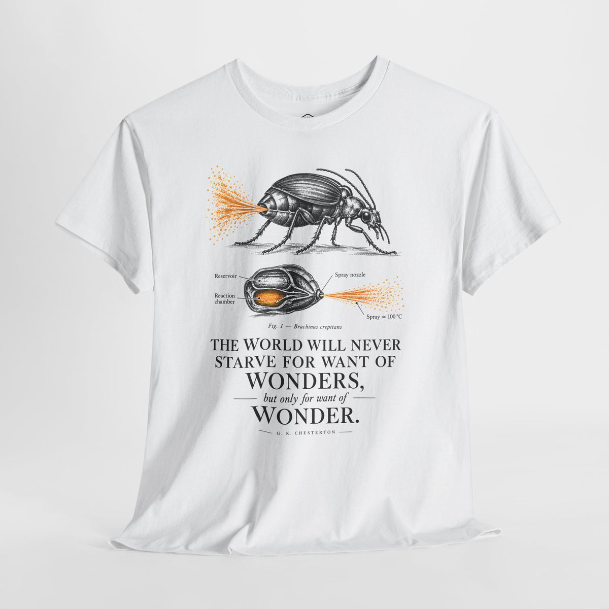 Bombardier Beetle Engraving - Donkey Talk faith and reason unisex T-shirt