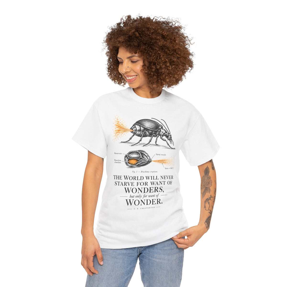 Bombardier Beetle Engraving T-shirt – Donkey Talk graphic tee