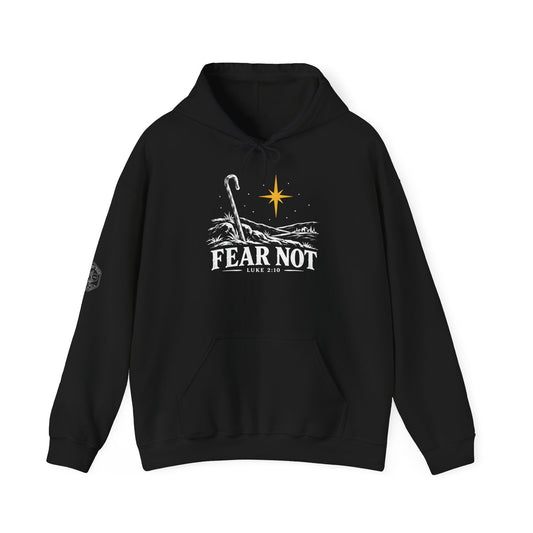 Fear Not Hoodie | Luke 2:10 Christmas Christian Graphic Hoodie