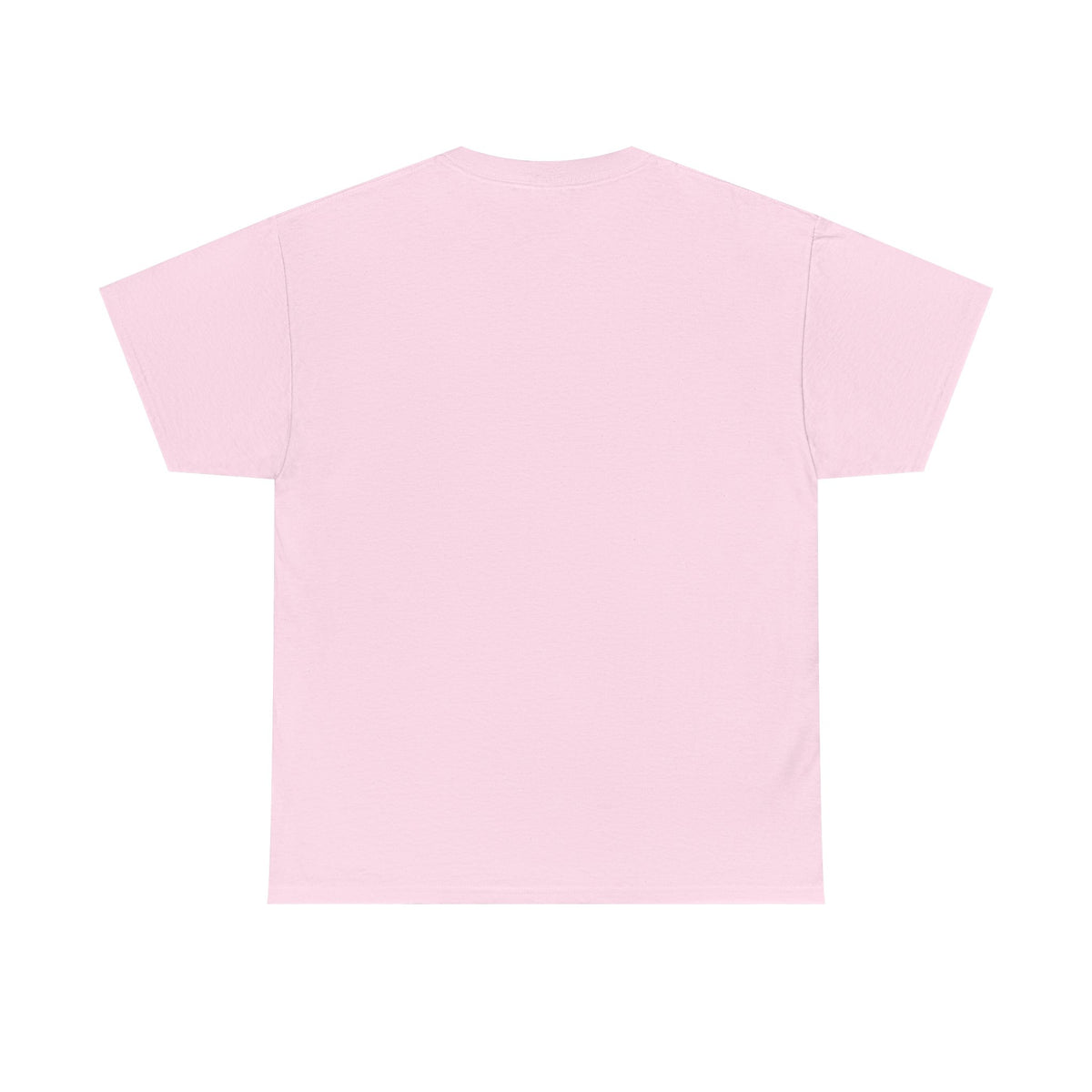 Lion & Lamb Christian T-Shirt | Bold Faith Graphic Tee