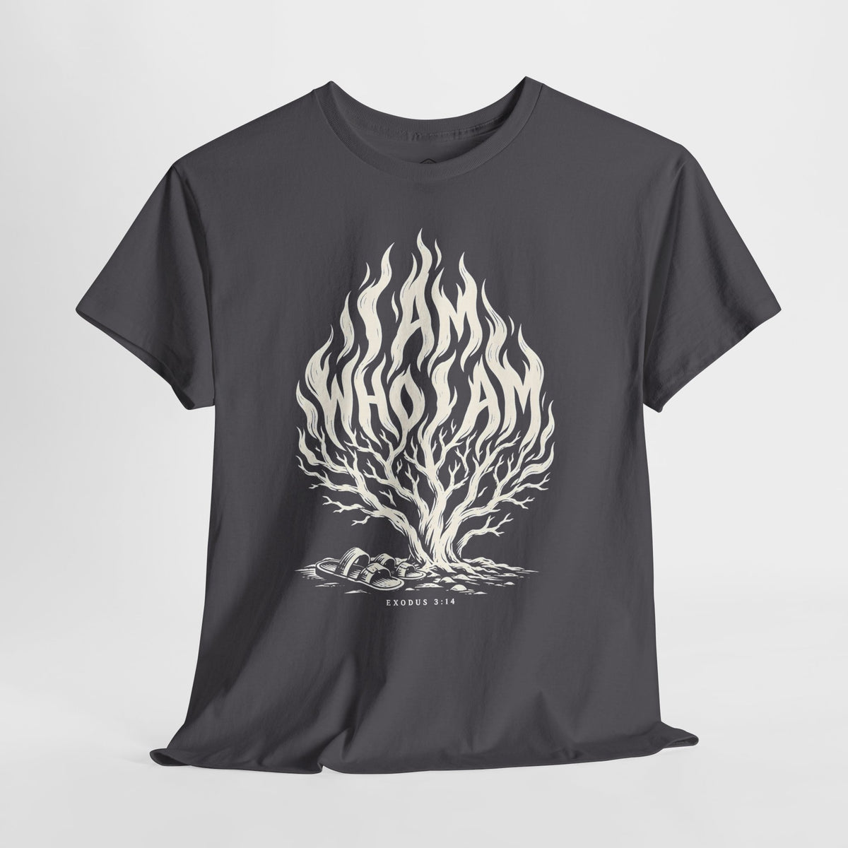 I Am Who I Am Flame Lettering T-shirt – Donkey Talk graphic tee