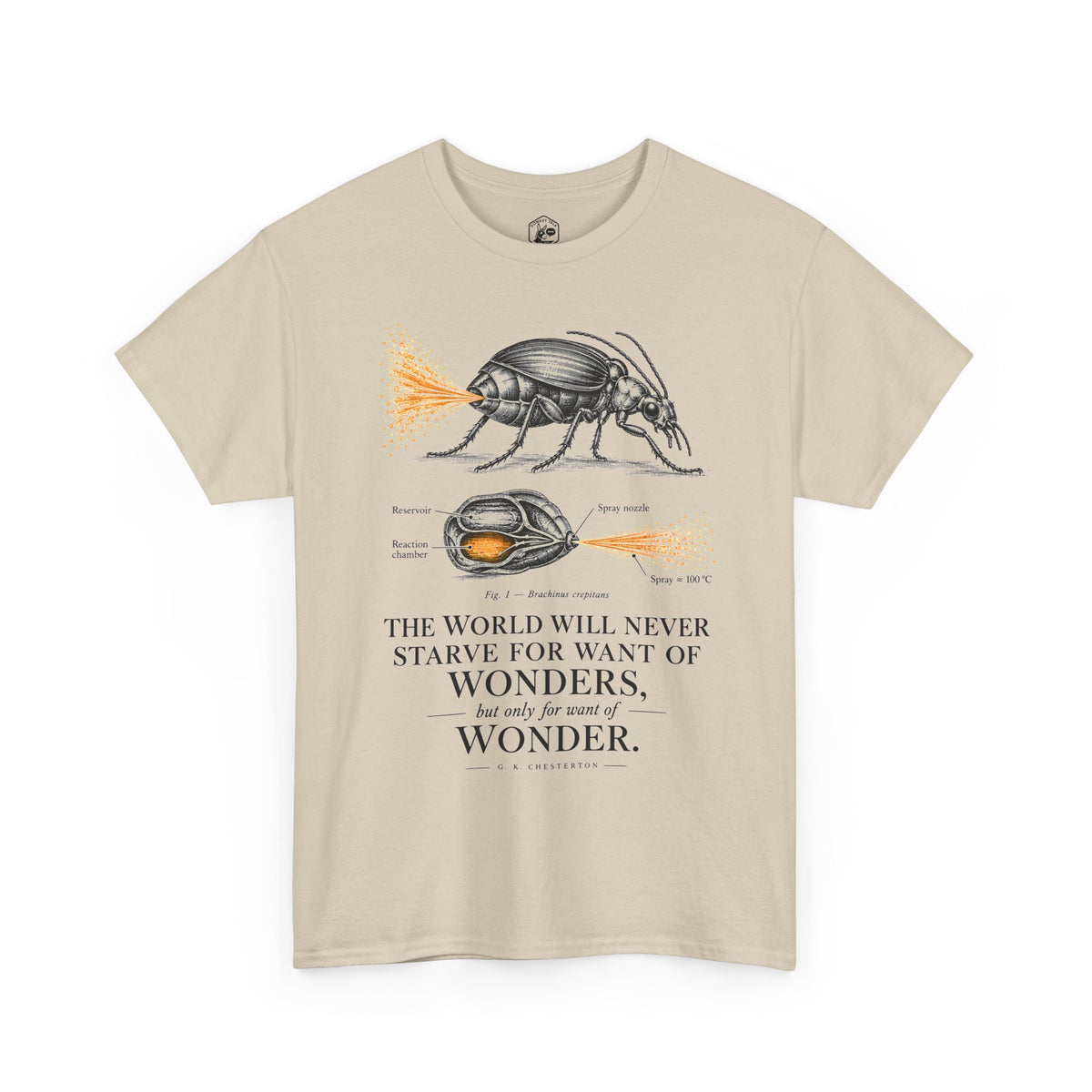 Bombardier Beetle Engraving T-shirt – Donkey Talk graphic tee