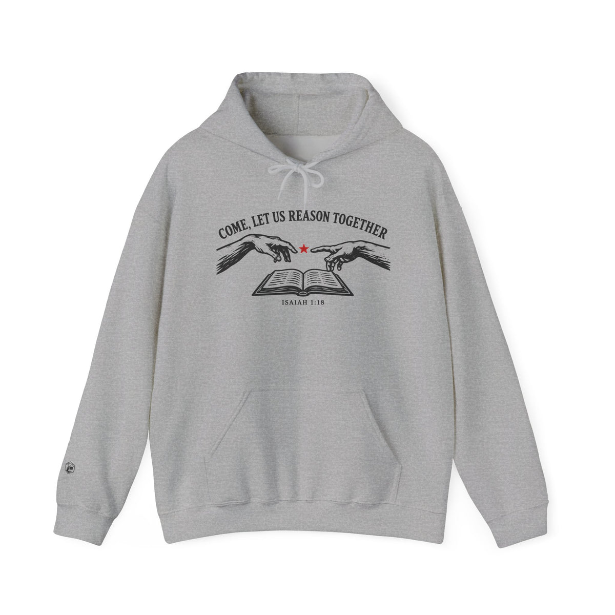 Come, Let Us Reason Together hoodie - Donkey Talk faith and reason unisex hoodie