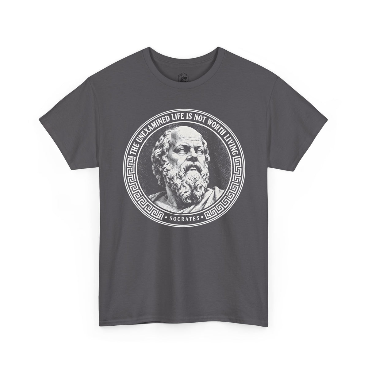 The Unexamined Life Is Not Worth Living T-shirt – Donkey Talk graphic tee