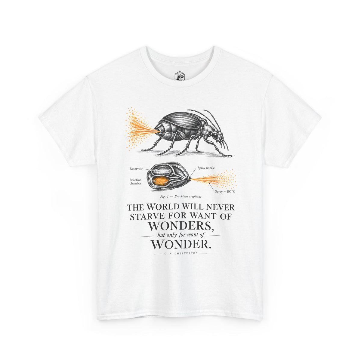 Bombardier Beetle Engraving T-shirt – Donkey Talk graphic tee